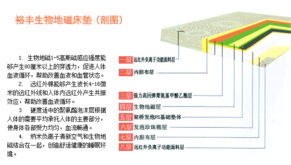 泰安市裕豐科技 融合計算機技術(shù)開發(fā)，引領(lǐng)健康寢具新篇章