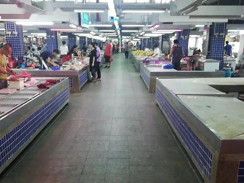 創(chuàng)新高 珠海新一期文明成績單出爐 得滿分的是